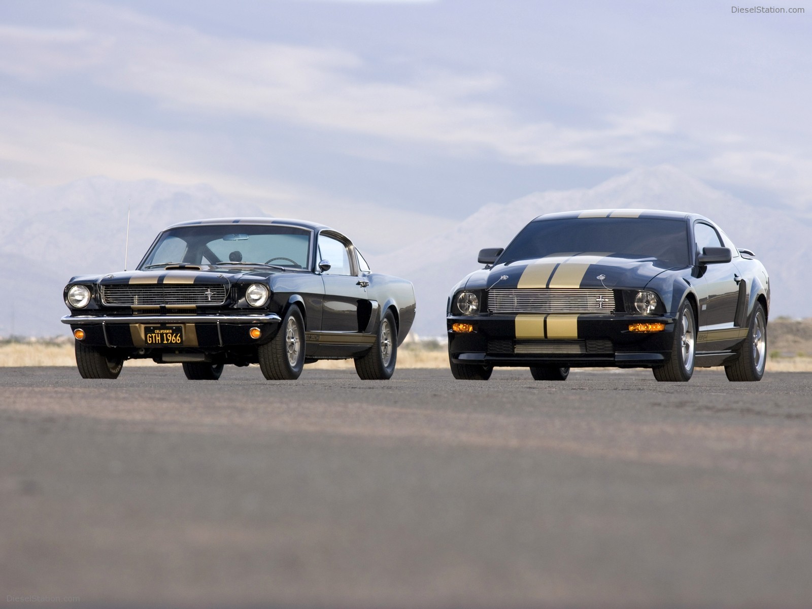 Ford Shelby GT-H